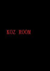 HKOZ ROOM-֥